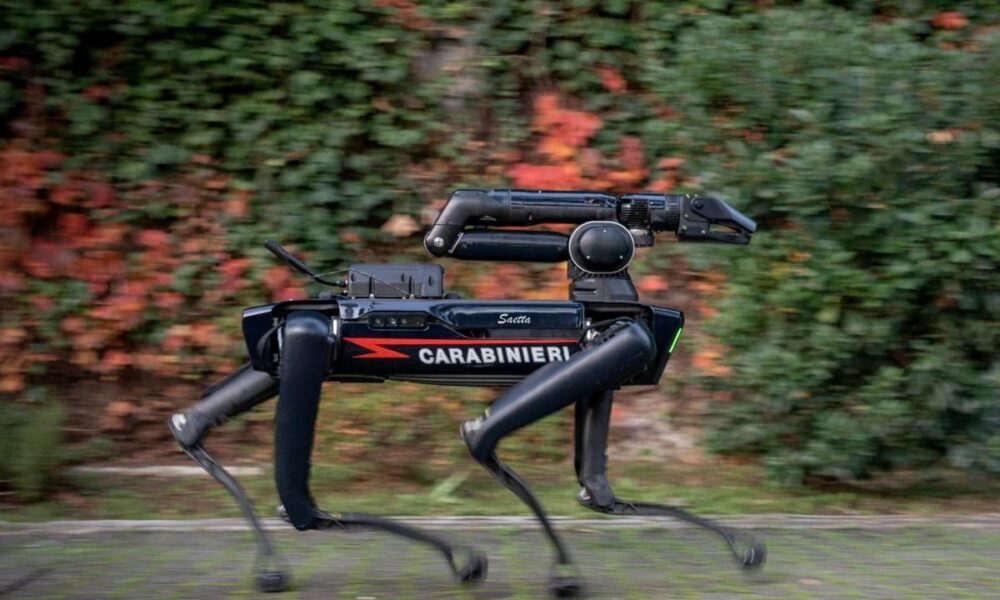 cane robot