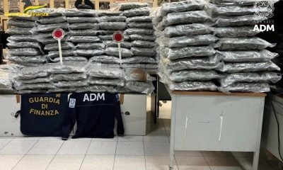 Civitavecchia – Maxi sequestro di droga scoperto dalla GdF. Jackpot annusa tutto
