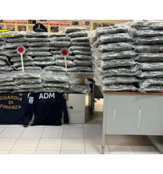 Civitavecchia – Maxi sequestro di droga scoperto dalla GdF. Jackpot annusa tutto