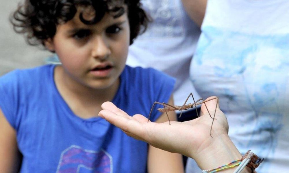 Al Bioparco di Roma, una giornata dedicata al gruppo animale più numeroso del mondo